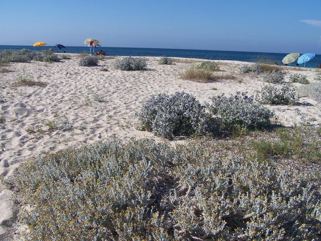 Agriturismo Cuile De Molino Porto Torres Luaran gambar