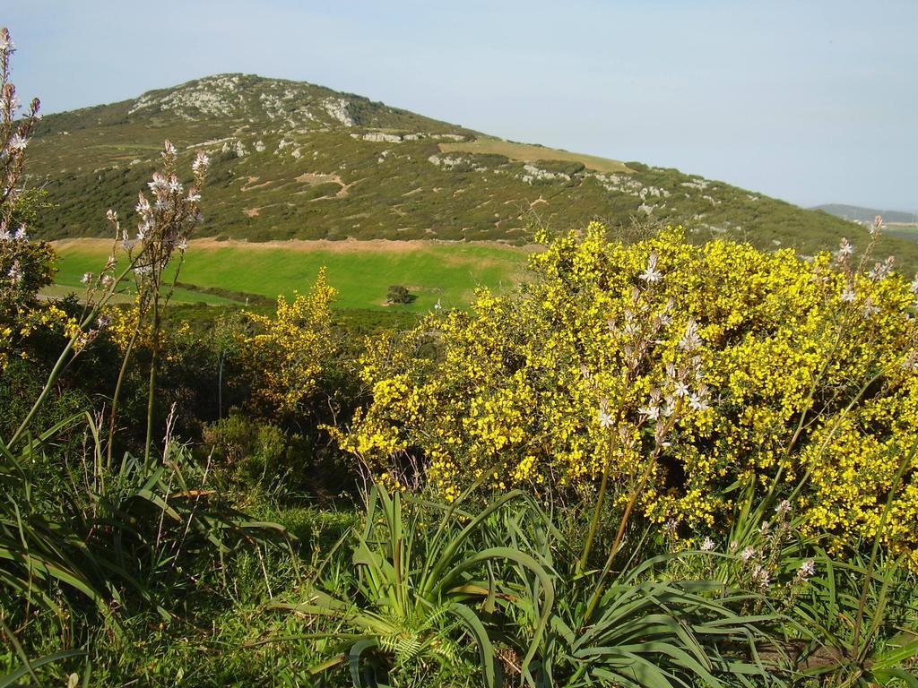 Agriturismo Cuile De Molino Porto Torres Luaran gambar