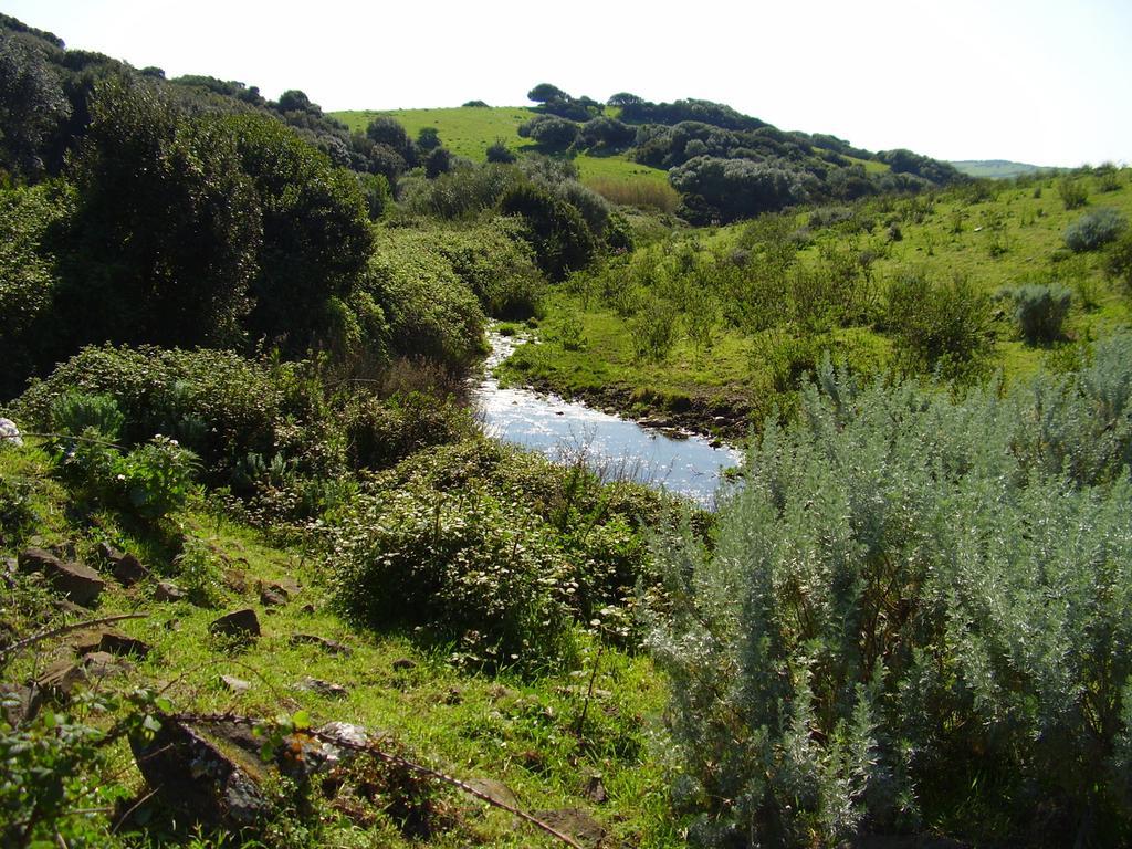 Agriturismo Cuile De Molino Porto Torres Luaran gambar