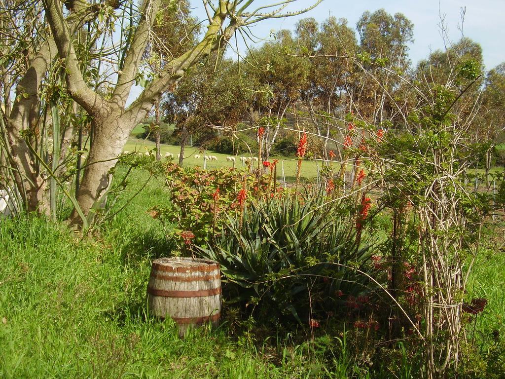 Agriturismo Cuile De Molino Porto Torres Luaran gambar