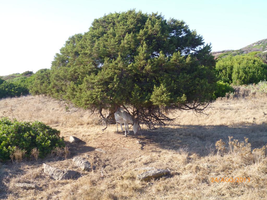 Agriturismo Cuile De Molino Porto Torres Luaran gambar